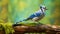 Lifelike Representation Of Blue Jay On Wood Branch With Spectacular Backdrop