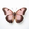 Lifelike Representation Of Pink And Brown Butterfly On White Surface