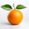 Lifelike Tangerine: Ambient Occlusion Photography With Precise Details
