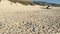 Lifesavers vehicle driving on sandy beach in Western Australia