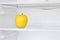 Lifestile concept.Yellow apple in domestic refrigerator.