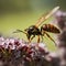 lifestyle photo closeup potter wasp flying in garden - AI MidJourney