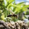 lifestyle photo closeup potter wasp flying in garden - AI MidJourney