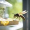 lifestyle photo closeup potter wasp flying near feeder - AI MidJourney