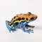 lifestyle photo dyeing poison arrow frog on white background - AI MidJourney