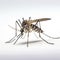 lifestyle photo extreme closeup mosquito on white background - AI MidJourney