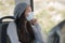 Lifestyle portrait of young attractive and pretty Asian woman wearing mask in railcar traveling in new normal virus time - sweet