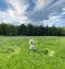 Lifestyle scene  Woman on wild field with blossom yellow flowers and bright sky with white clouds summer nature landscape, gree