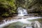 Liffey Falls lower cascade in Tasmania, Australia