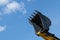 The lifted bucket of a new excavator against the background of the sky. Construction machinery close-up. Background with