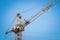 Lifting construction crane