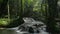 Lifting shot of beautiful cascade flowing among lush foliage plants under sunlight in tropical forest.