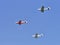 Light aerobatic aircraft in close flight