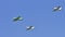Light aerobatic aircraft in close flight