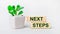 On a light background, a plant in a pot and two wooden blocks with the text NEXT STEPS