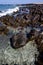 Light beach water in lanzarote isle rock spain stone c