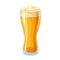 Light beer in glass goblet with foam.