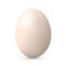 Light beige chicken egg Realistic and volumetric egg for easter