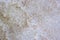 Light beige sandstone close up background texture