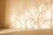 Light beige studio background with blurred shadow from tree branches on the wall. Minimalistic abstract studio