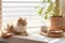 Light beige and white cat sits on a windowsill near a potted plant and a food bowl