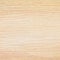 Light beige wood texture background. Natural pattern swatch template. Vector illustration