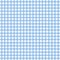 Light Blue Gingham