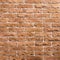 Light-brown brick background pattern