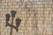 Light brown brick wall with dry creeper stalks and lamppost shadow.