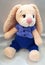 Light brown hare, handwork, knitted,  a hare in a blue suit