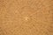 Light Brown Rattan Spiral Weave Background