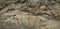 Light brown rock background. Rock texture. Detail. Mountain surface in cracks.