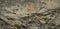 Light brown rock background. Rock texture. Detail. Mountain surface in cracks.