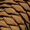 Light brown texture with fir cones. Pinecone macro photography