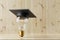 Light bulb with an academic hat on a wooden background. Ideas with innovative creativity for educational success explore the world