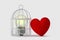 Light bulb in bird cage with free heart - Mind and heart concept