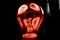 Light bulb close-up in the dark in red highlights