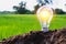 Light bulb concept energy an idea put on the soil on green nature background.