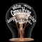 Light Bulb with Consulting Concept