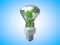 Light bulb earth