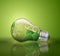 Light bulb, ecological concept