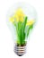 Light bulb with flower inside