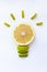 Light bulb from grapefruit and apple on a white background