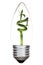 Light bulb with green bamboo inside