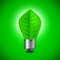 Light bulb from green leave, environment concept
