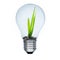 Light bulb and green sprout inside