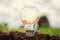 light bulb growing in soil concept idea power energy