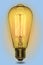 Light bulb idea. Lamp Edison retro style. Electric glow