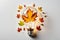 Light bulb made from maple and autumn leaves. renewable energy and sustainable living concept