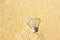Light bulb on sand